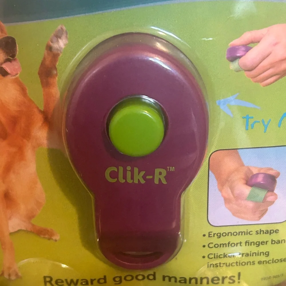 PetSafe Clik-R Training Clicker in Purple with Green Button
